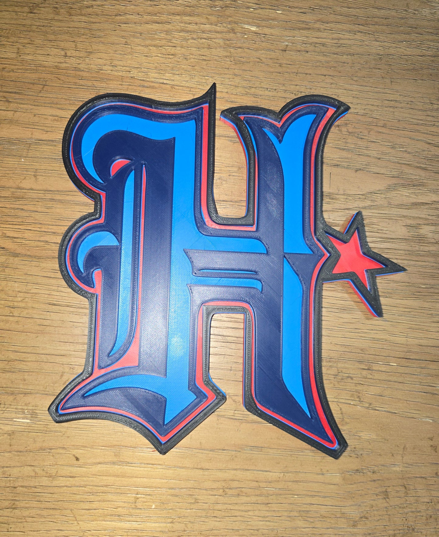 Houston Texans Logo Wall Art