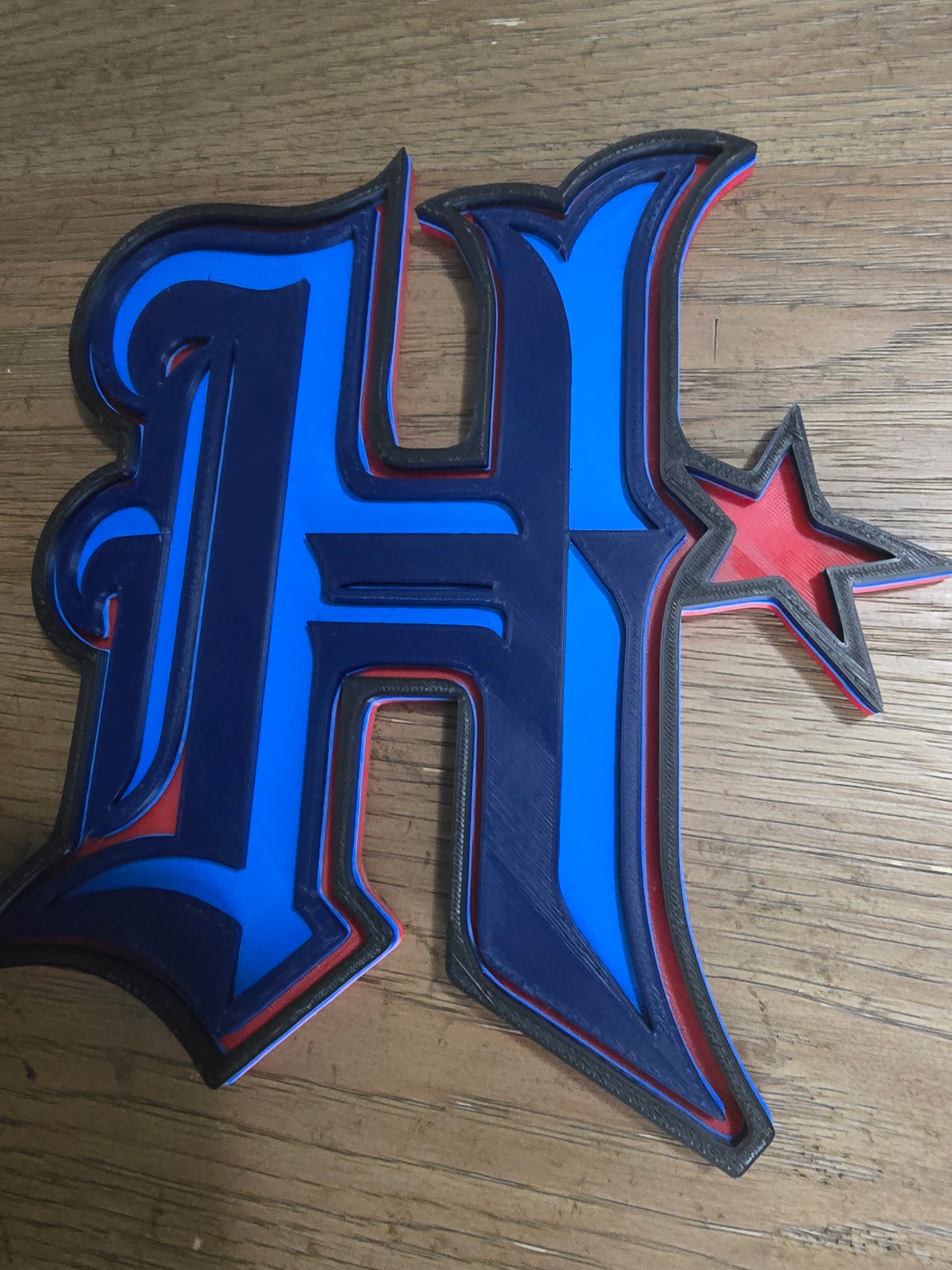 Houston Texans Logo Wall Art