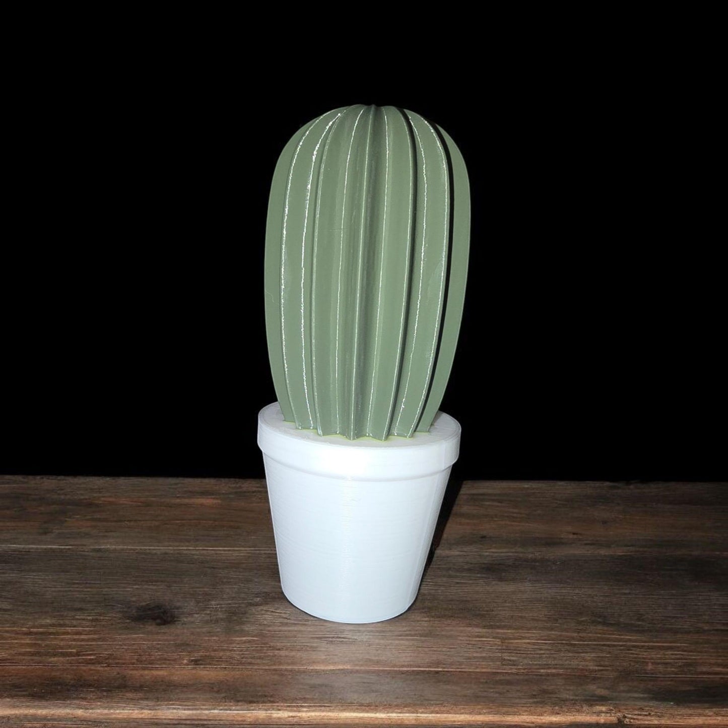 Artificial Cactus Plants, Fake Succulent, Fake Cactus Potting Decoration Home Decor 3D Printed