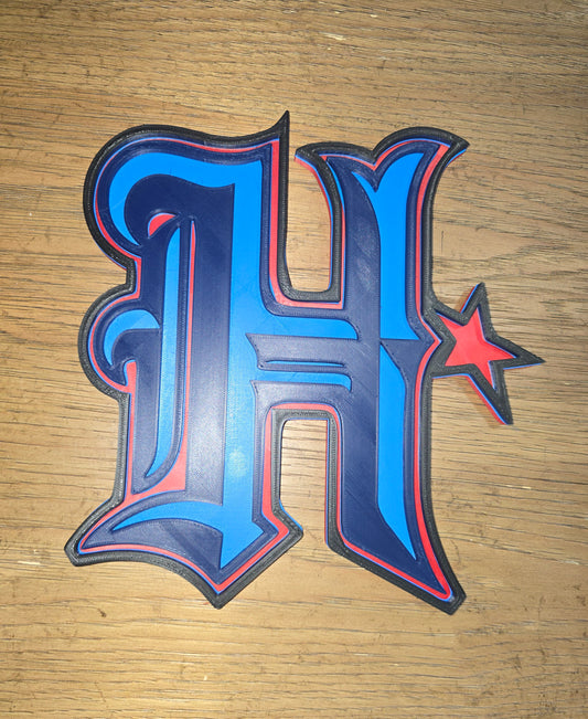 Houston Texans Logo Wall Art