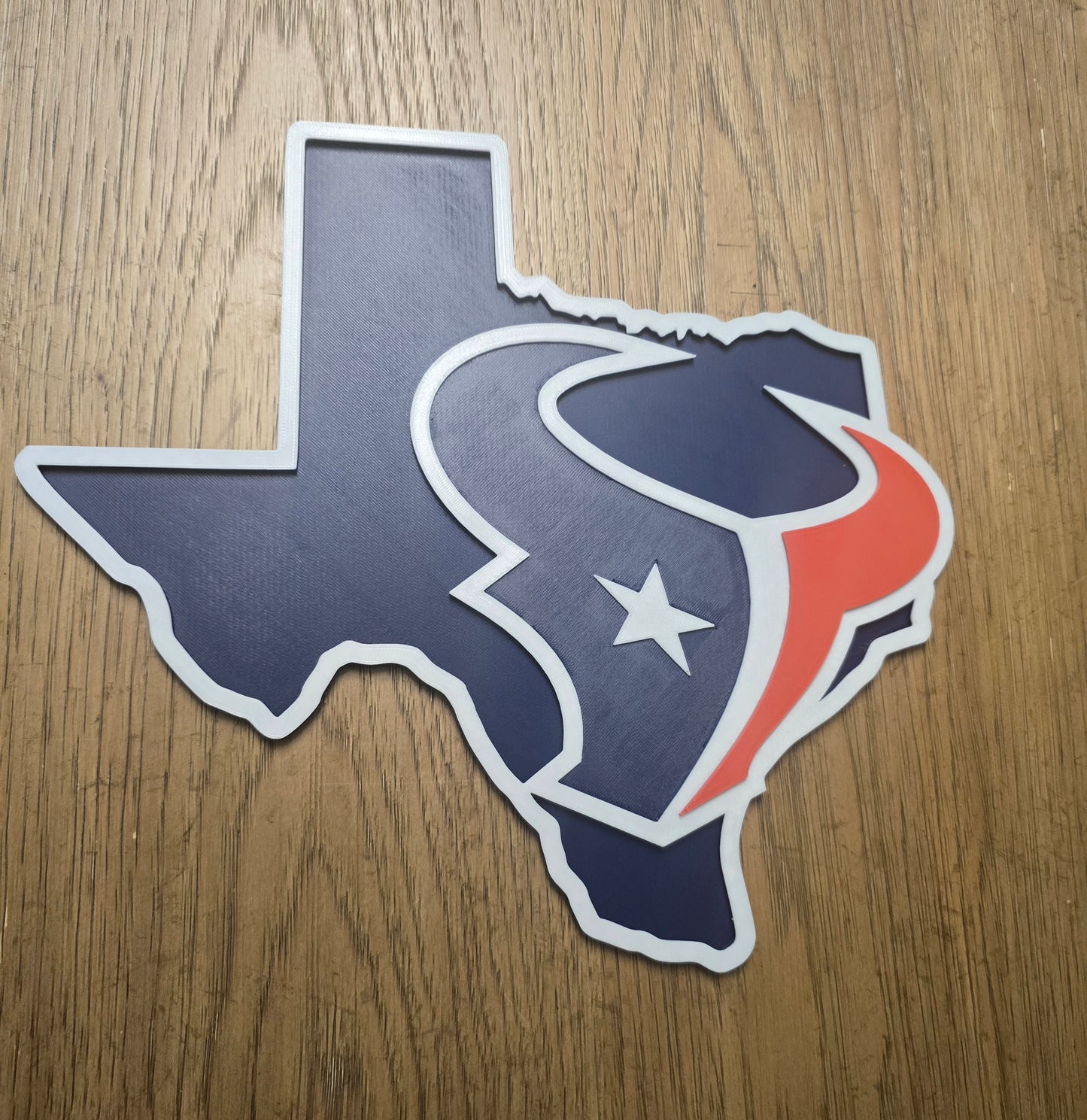 Houston Texans Logo Wall Art