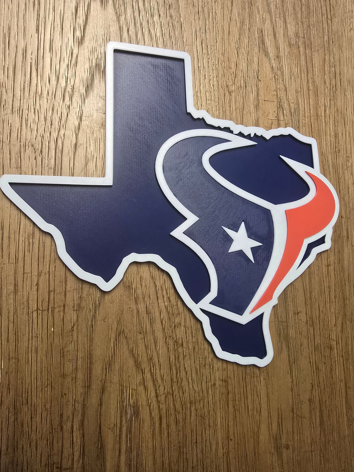 Houston Texans Logo Wall Art