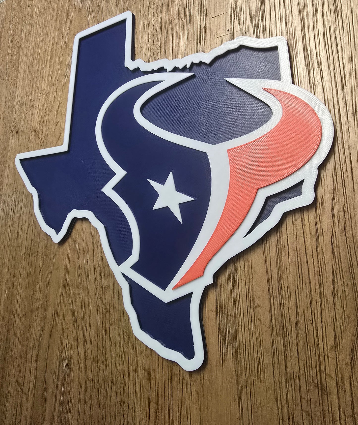 Houston Texans Logo Wall Art