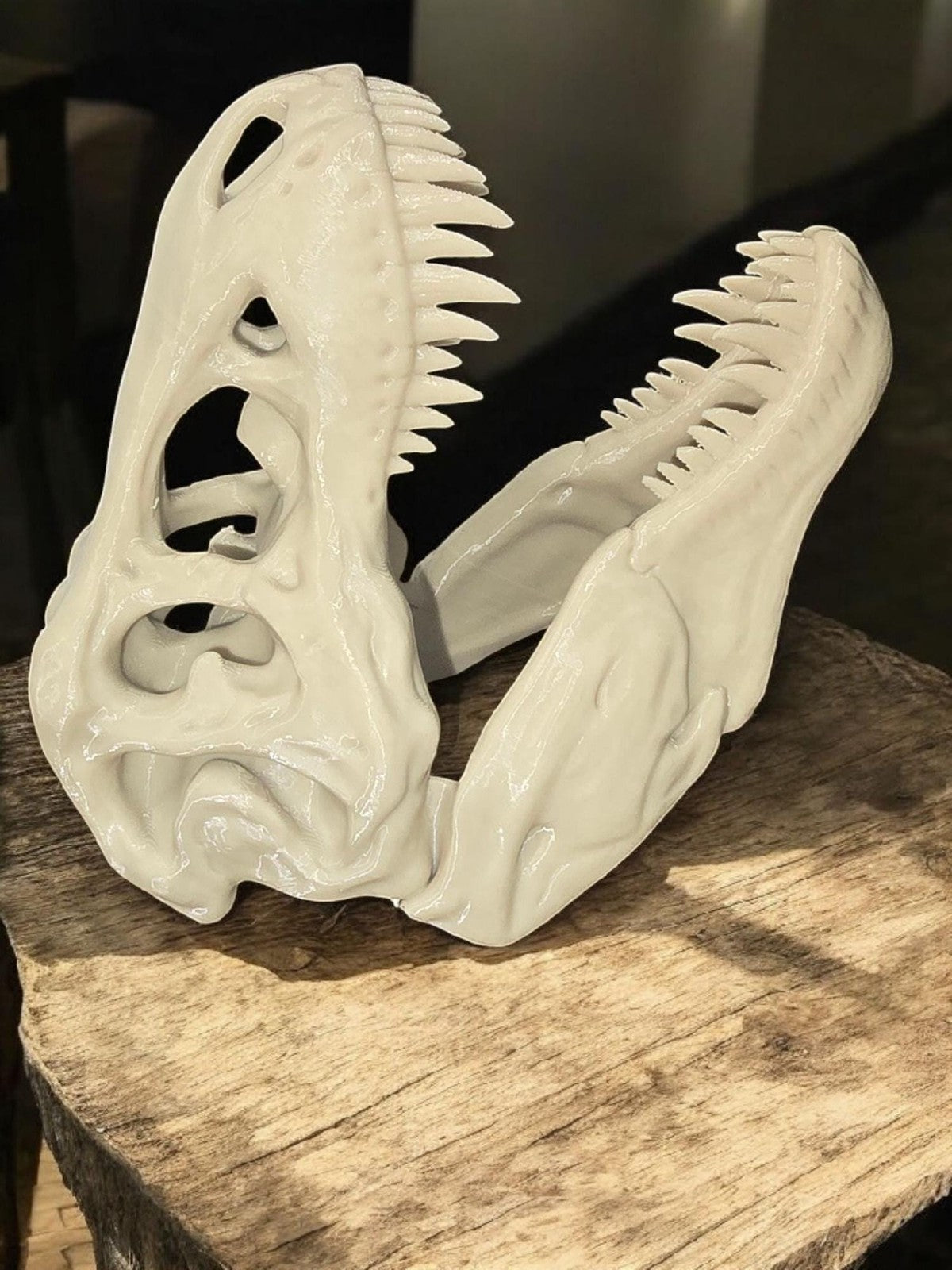 3D Printed T-Rex Dinosaur Skull Fossil Home Decoration
