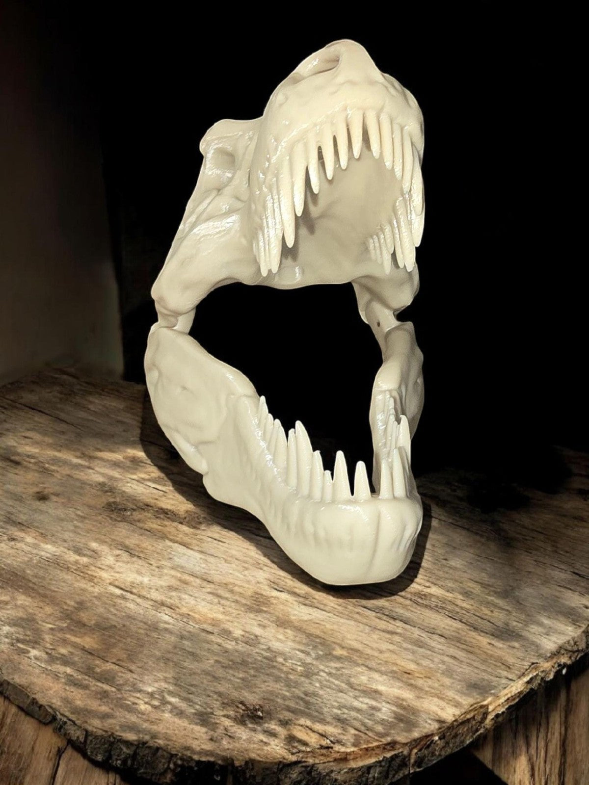3D Printed T-Rex Dinosaur Skull Fossil Home Decoration
