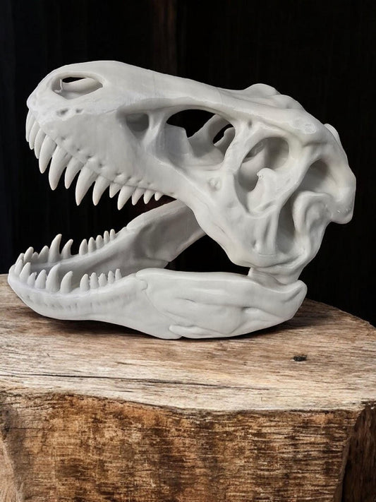 3D Printed T-Rex Dinosaur Skull Fossil Home Decoration