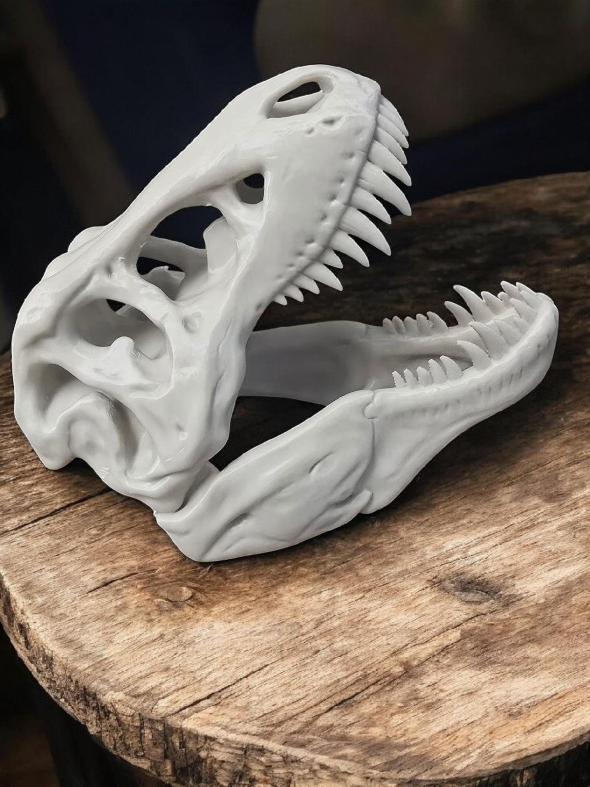 3D Printed T-Rex Dinosaur Skull Fossil Home Decoration