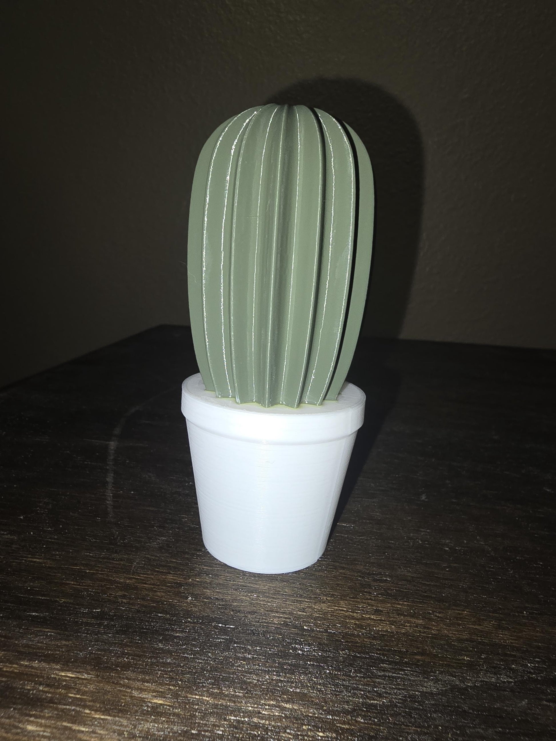 Artificial Cactus Plants, Fake Succulent, Fake Cactus Potting Decoration Home Decor 3D Printed