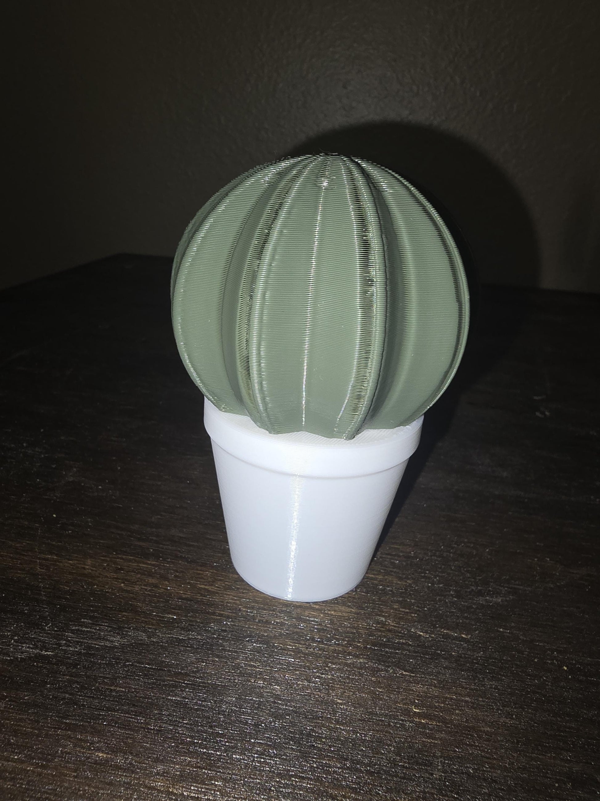 Artificial Cactus Plants, Fake Succulent, Fake Cactus Potting Decoration Home Decor 3D Printed