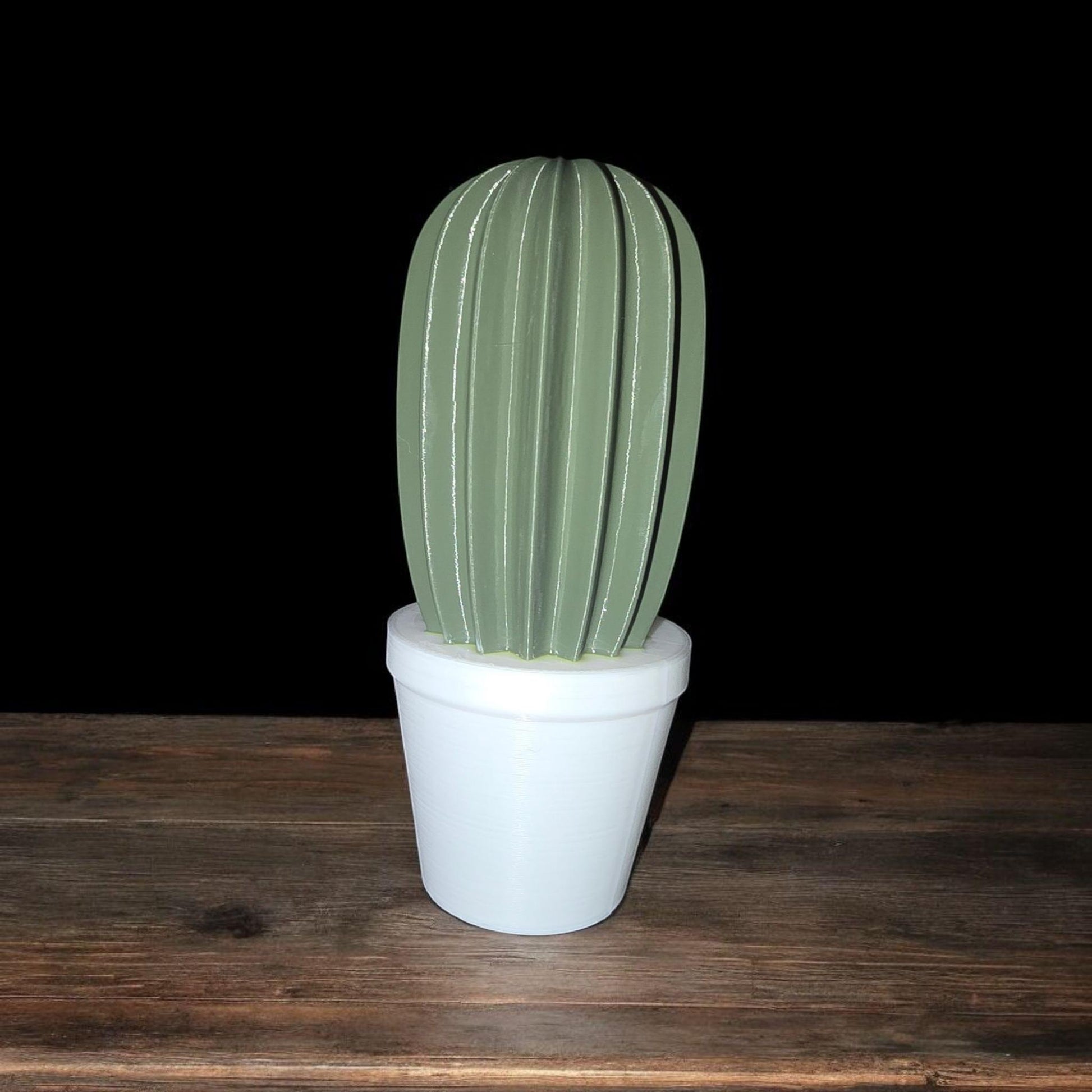 Artificial Cactus Plants, Fake Succulent, Fake Cactus Potting Decoration Home Decor 3D Printed