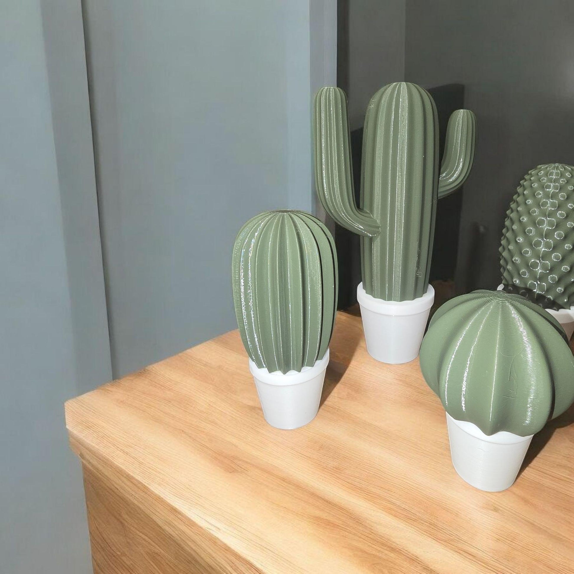 Artificial Cactus Plants, Fake Succulent, Fake Cactus Potting Decoration Home Decor 3D Printed