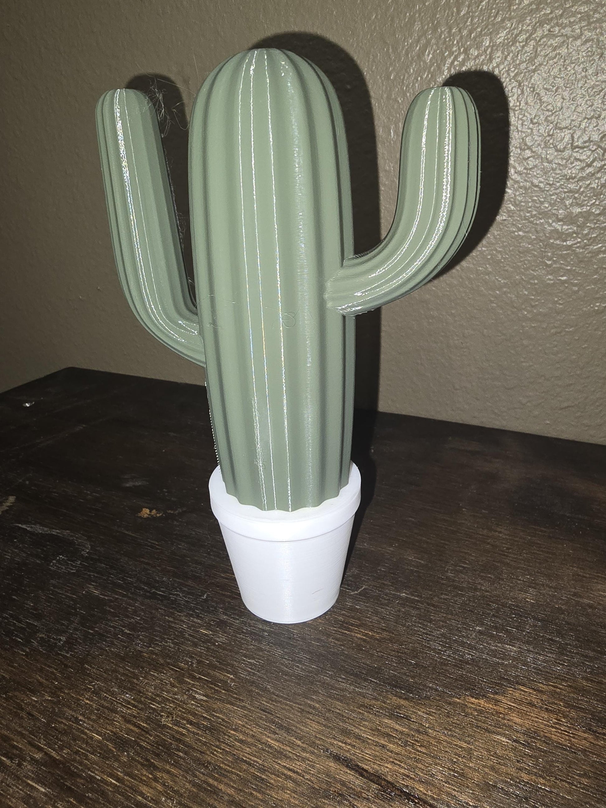Artificial Cactus Plants, Fake Succulent, Fake Cactus Potting Decoration Home Decor 3D Printed