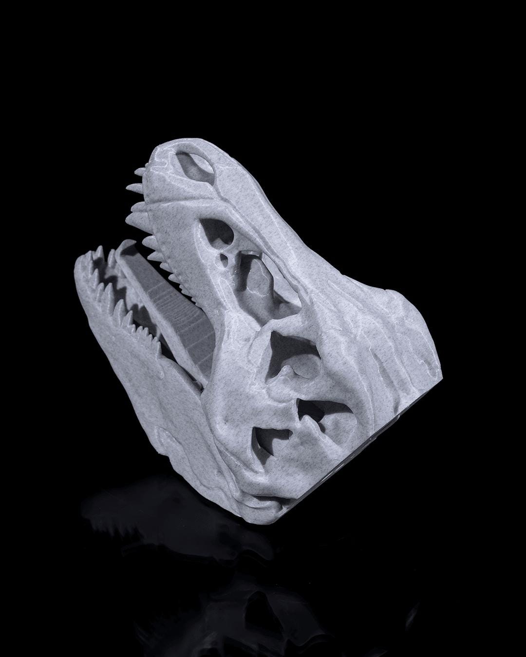 3D Printed T-Rex Dinosaur Skull Fossil Home Decoration Coat Hanger