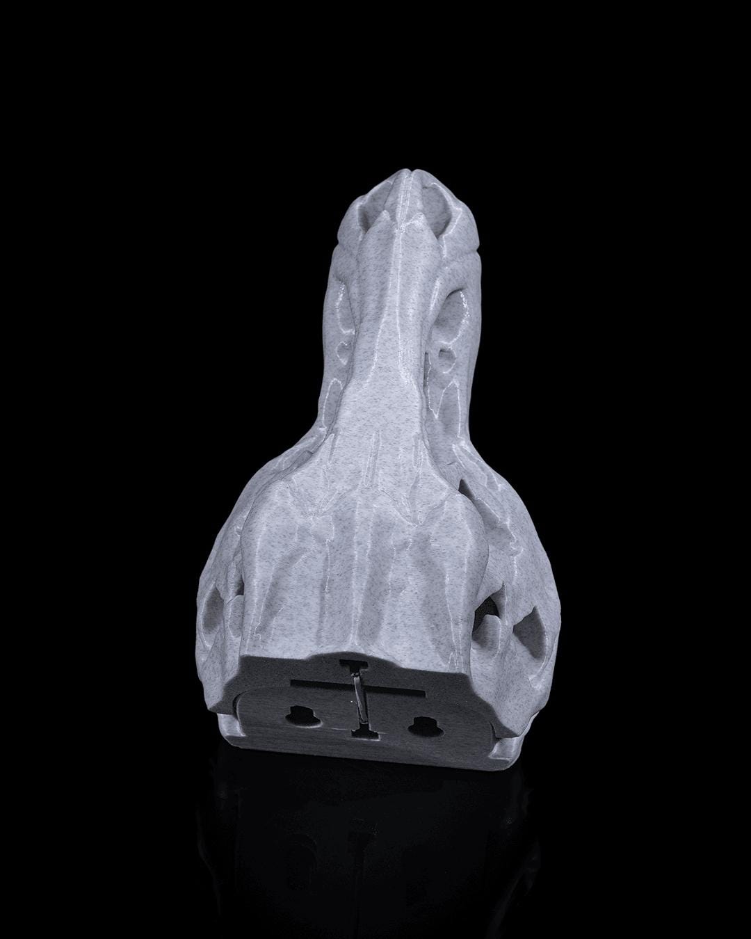 3D Printed T-Rex Dinosaur Skull Fossil Home Decoration Coat Hanger