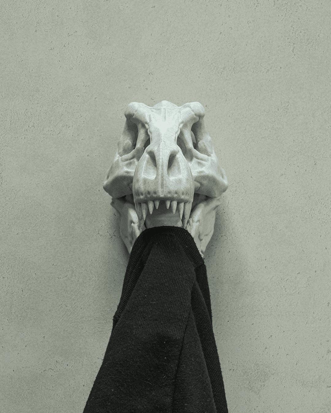 3D Printed T-Rex Dinosaur Skull Fossil Home Decoration Coat Hanger