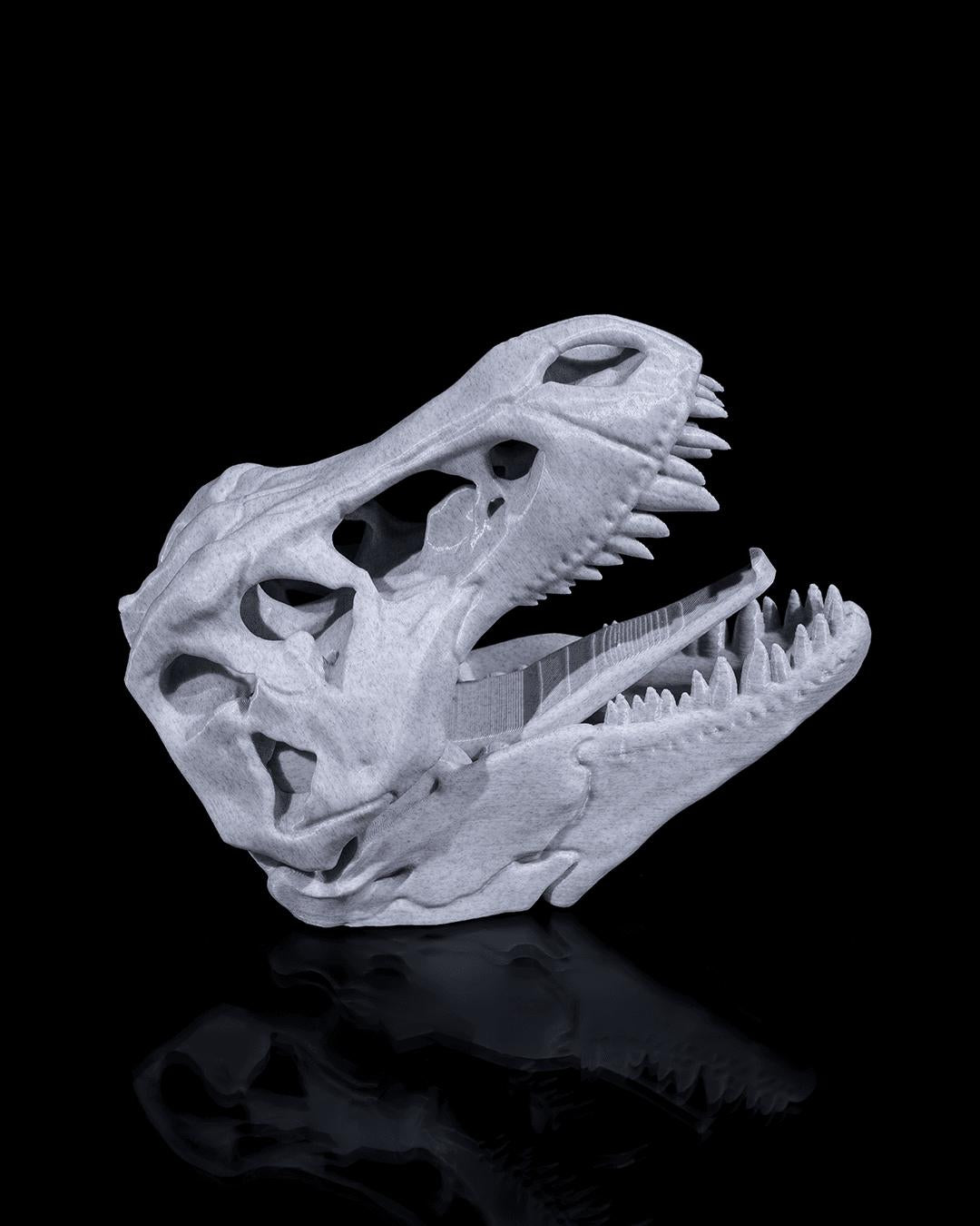 3D Printed T-Rex Dinosaur Skull Fossil Home Decoration Coat Hanger