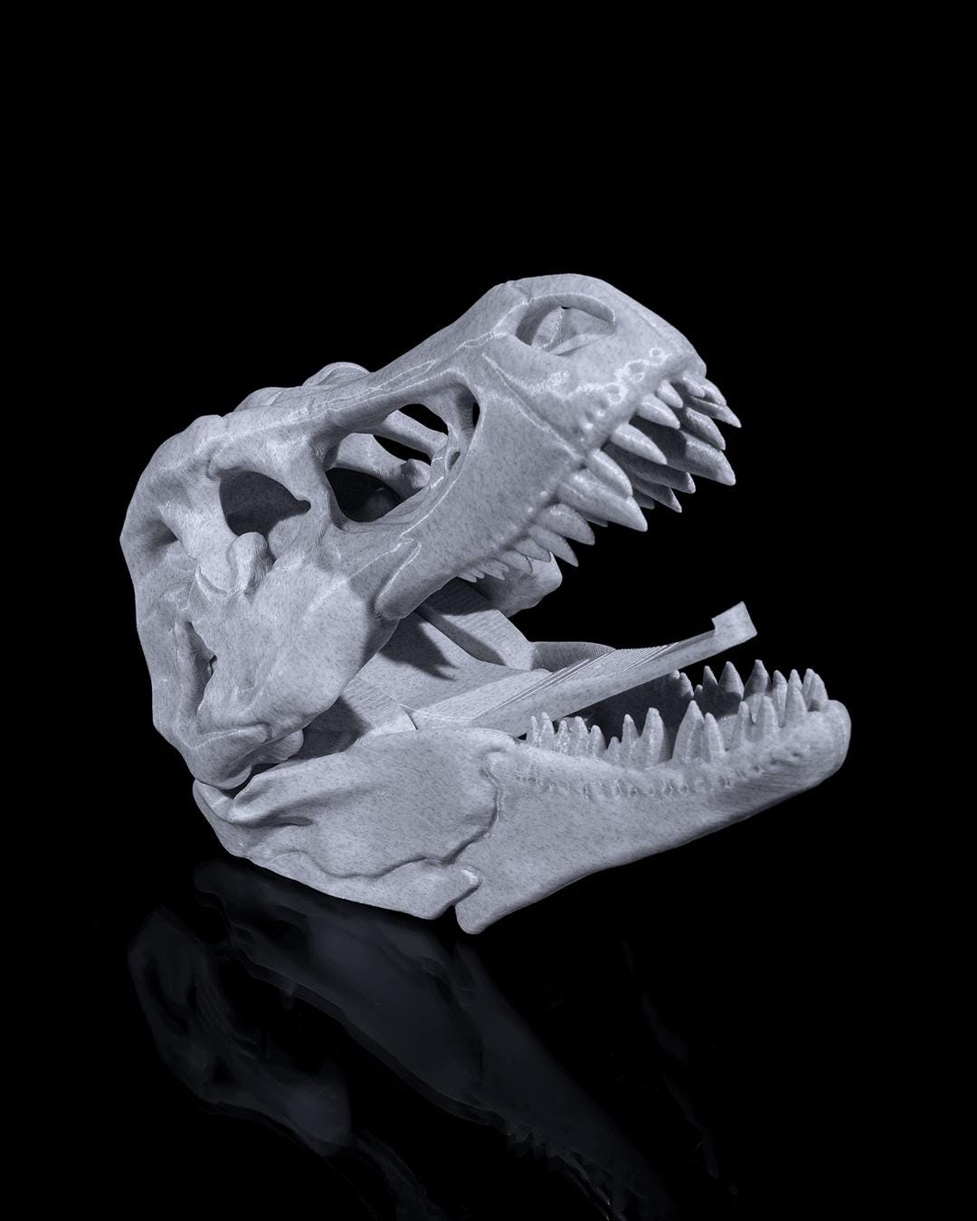 3D Printed T-Rex Dinosaur Skull Fossil Home Decoration Coat Hanger