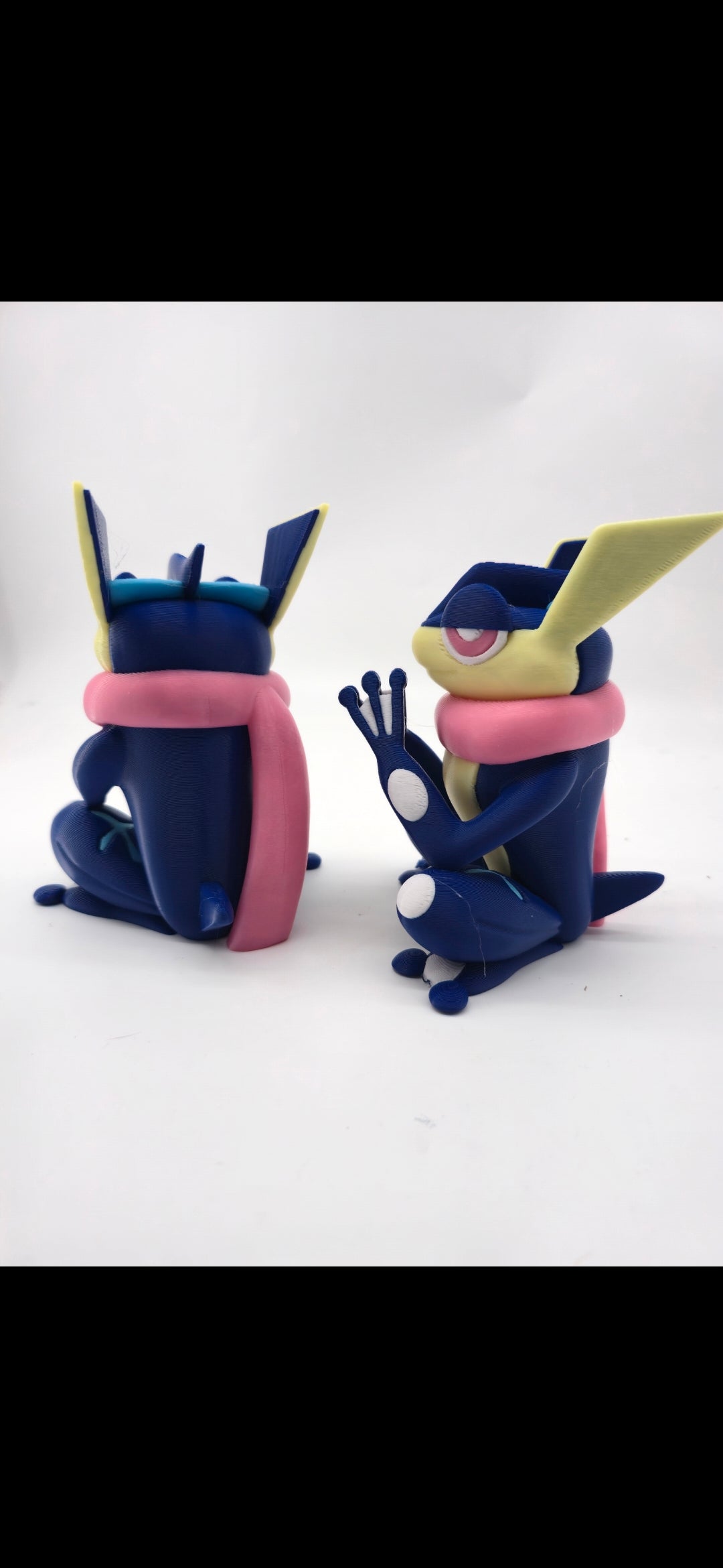 Poke x Ninja 3D Printed